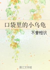 口袋裏的小烏龜