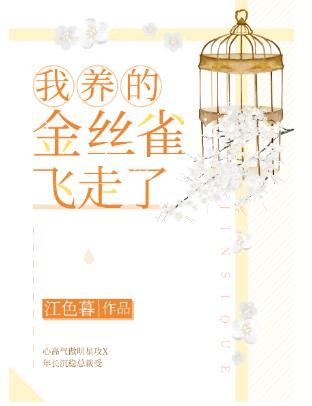 我養的金絲雀飛走了