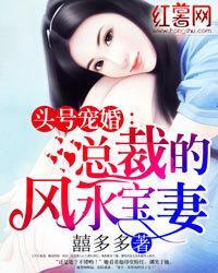 頭號寵婚:總裁的風水寶妻