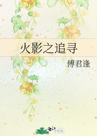 火影之追尋