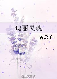 瑰麗靈魂