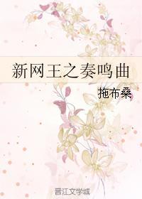 新網王之奏鳴曲