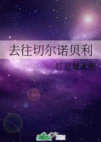 去往切爾諾貝利