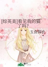 [綜英美]看見我的貓了嗎？