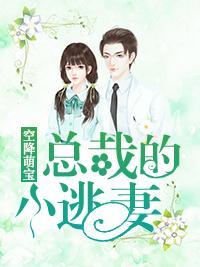 空降萌寶:總裁的小逃妻