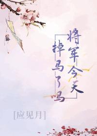 将軍今天掉馬了嗎