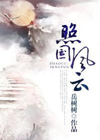 照國風雲