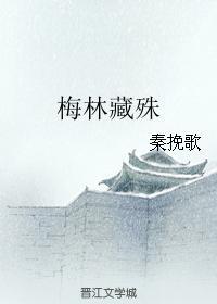 梅林藏殊