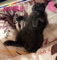 監護重啓