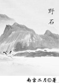 野石