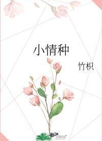 小情種