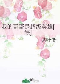 我的哥哥是超級英雄[綜]