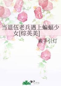 當退伍老兵遇上蝙蝠少女[綜英美]