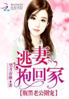 腹黑老公圈寵:逃妻抱回家