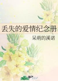 丢失的愛情紀念冊