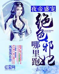 夜帝盛寵：絕色邪妃哪裏跑