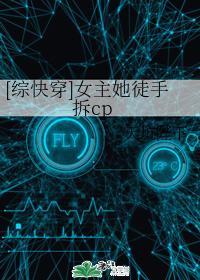 [綜快穿]女主她徒手拆cp