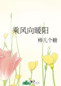 乘風向暖陽