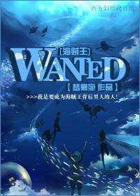 [海賊王]WANTED