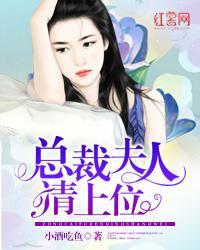 總裁夫人請上位