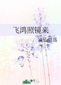 飛鴻照鏡來