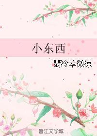 小東西