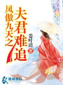 鳳傲九天之夫君難追