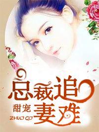 甜寵：總裁追妻難