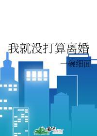 我就沒打算離婚