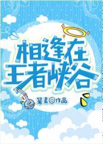相逢在王者峽谷