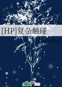 [HP]複雜觸碰