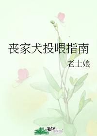 喪家犬投喂指南