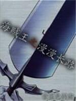海賊王之漫漫長路
