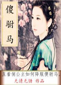 傻驸馬gl