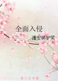 全面入侵