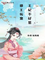 邪王佞寵,王妃不好惹