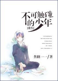 不可觸碰的少年[重生]