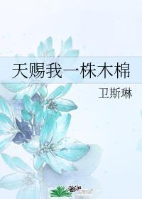 天賜我一株木棉1