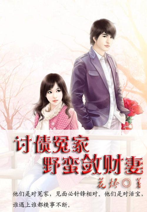 讨債冤家:野蠻斂財妻