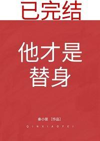 他才是替身