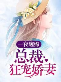 一夜纏綿：總裁狂寵嬌妻