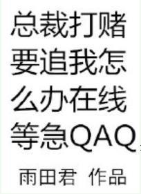 總裁打賭要追我怎麽辦在線等急