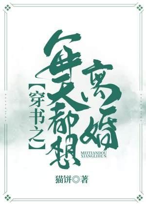 穿書之每天都想離婚
