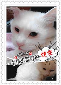 一個盡忠職守的炮灰