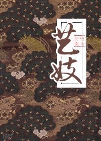 藝妓(穿越)