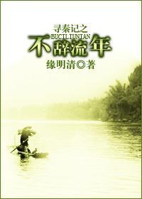 尋秦記之不辭流年