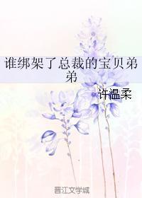 誰綁架了總裁的寶貝弟弟