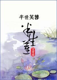 半世芙蓉半生蓮