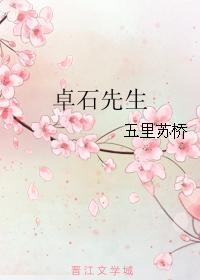 卓石先生