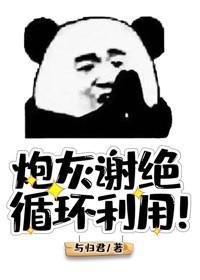 炮灰謝絕循環利用!